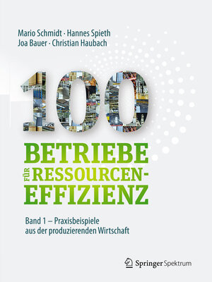 cover image of 100 Betriebe für Ressourceneffizienz--Band 1